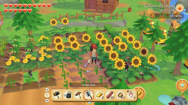 Story of Seasons A Wonderful Life